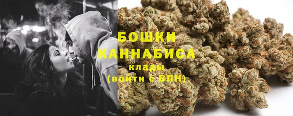 ПСИЛОЦИБИНОВЫЕ ГРИБЫ Алексин