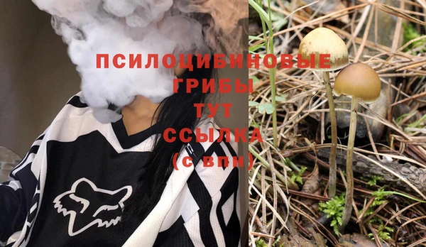 ПСИЛОЦИБИНОВЫЕ ГРИБЫ Саяногорск