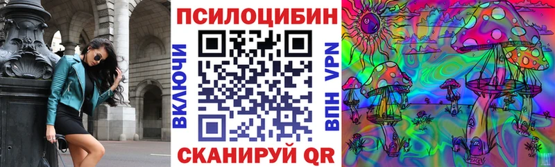 Псилоцибиновые грибы Magic Shrooms  купить закладку  Дудинка 